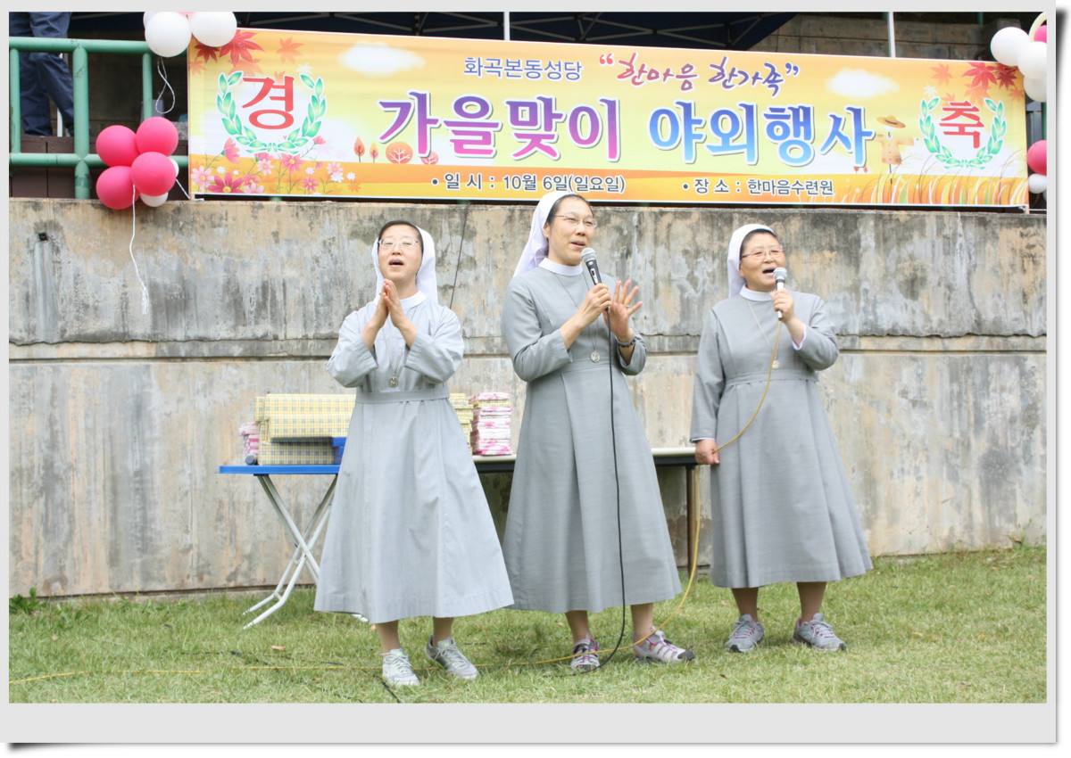 371-5.jpg