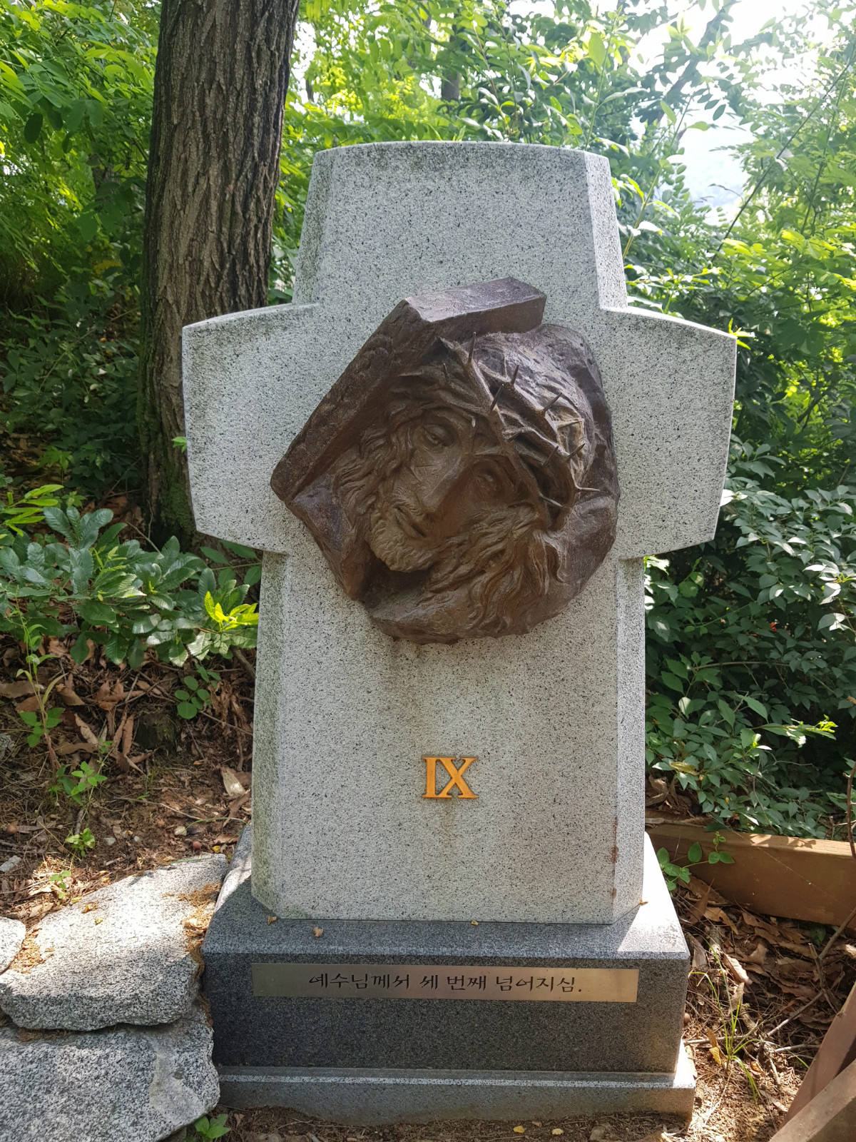 16.jpg